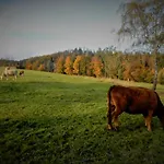 Apartmán Roubenka - Jesenka *