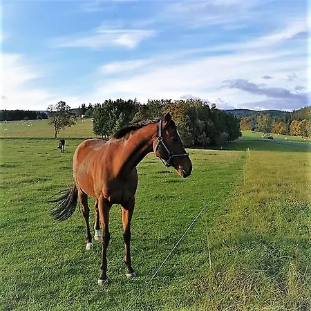 Roubenka - Jesenka