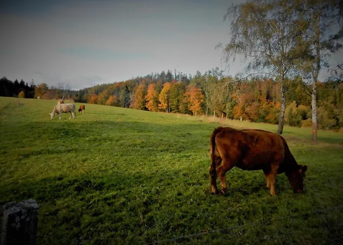 Lägenhet Roubenka - Jesenka *