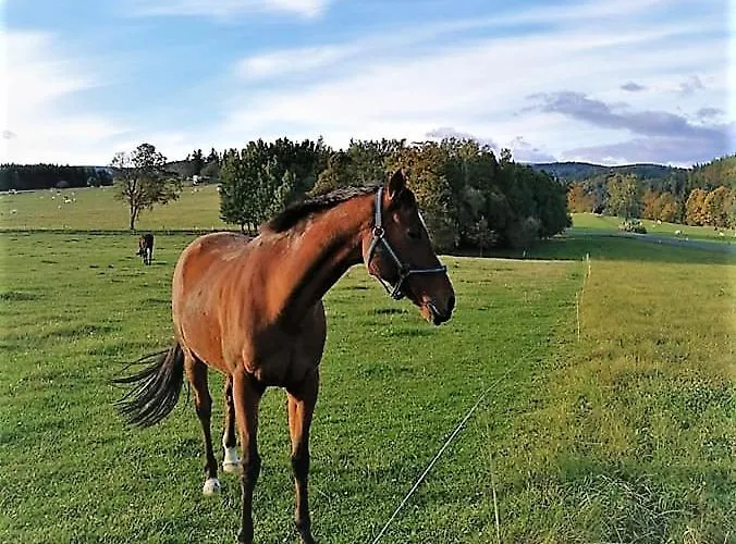 Roubenka - Jesenka